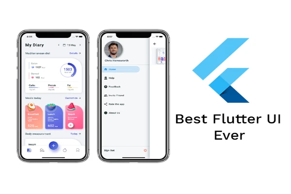 Mobile App Development  Flutter Widgets
